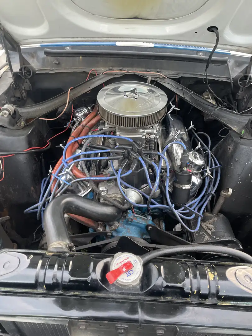 Ford Mustang 302cui Weiß - 2