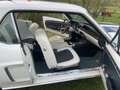 Ford Mustang 302cui Weiß - thumbnail 15