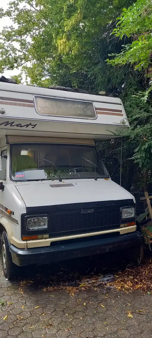 Fiat Ducato Wohnmobil Blanc - 2