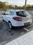 Renault Megane Megane 3a serie SPORTOUR Blanc - thumbnail 6