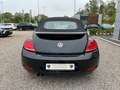 Volkswagen Beetle Cabriolet Allstar BMT - Kamera - Xenon Чорний - thumbnail 4
