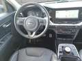 Kia e-Niro Niro EV 64kWh long Range Platin Aut. Grey - thumbnail 9