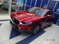 Mazda CX-30 CX-30 ComfortTE Aut. Rot - thumbnail 3