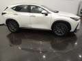 Lexus NX 200t BUSINESS CITY Weiß - thumbnail 3