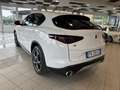 Alfa Romeo Stelvio Stelvio 2017 2.2 t Super Q4 180cv auto Bianco - thumbnail 6
