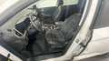 Opel Grandland Grandland 1.2 Business Elegance s&s 130c Bianco - thumbnail 11