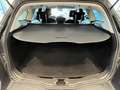Ford Focus Focus IV 2015 SW SW 1.5 tdci Business s Grigio - thumbnail 15