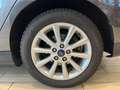 Ford Focus Focus IV 2015 SW SW 1.5 tdci Business s Grigio - thumbnail 18