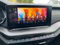 Skoda Octavia Combi RS 2.0TDI "MATRIX/AHK/ACC/VIRTUAL" Schwarz - thumbnail 20