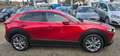 Mazda CX-30 CX*30*1.8D*Aut.*2WD*AHK*Leder*BOSE*HUD*LED*SHZ*ACC Rot - thumbnail 8