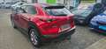 Mazda CX-30 CX*30*1.8D*Aut.*2WD*AHK*Leder*BOSE*HUD*LED*SHZ*ACC Rot - thumbnail 5