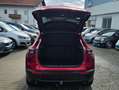 Mazda CX-30 CX*30*1.8D*Aut.*2WD*AHK*Leder*BOSE*HUD*LED*SHZ*ACC Rot - thumbnail 12