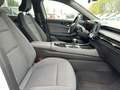 Renault Austral Evolution Mild Hybrid 140 Navi PDC Sitzh Weiß - thumbnail 11