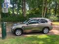 BMW X5 X5 xDrive40i Goud - thumbnail 6