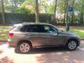 BMW X5 X5 xDrive40i Goud - thumbnail 2