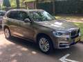 BMW X5 X5 xDrive40i Goud - thumbnail 3