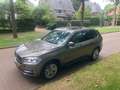BMW X5 X5 xDrive40i Goud - thumbnail 4