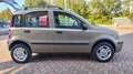 Fiat Panda Panda II 1.2 natural power Dynamic NEOPATENTATI Bronzo - thumbnail 1