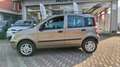 Fiat Panda Panda II 1.2 natural power Dynamic NEOPATENTATI Bronzo - thumbnail 2