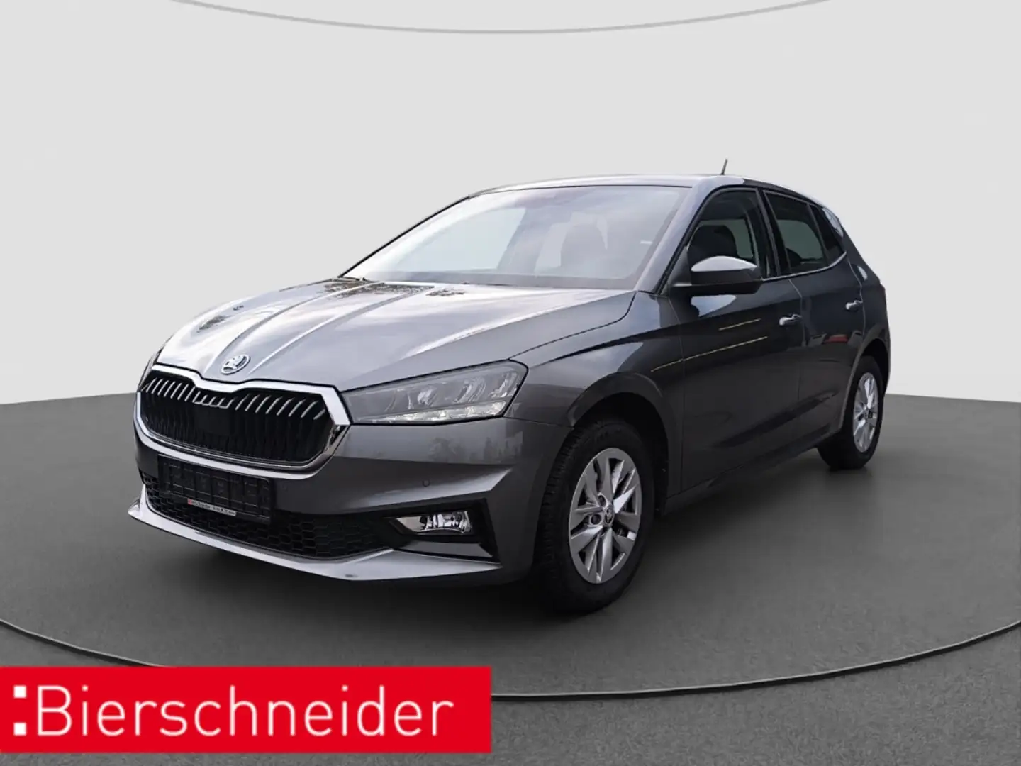 Skoda Fabia 1.0 TSI Selection NAVI ACC LM LED SITZH LINK KESSY Grau - 1