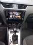 Skoda Octavia Wagon 1.5 g-tec Executive 130cv dsg - thumbnail 8