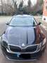 Skoda Octavia Wagon 1.5 g-tec Executive 130cv dsg - thumbnail 11
