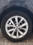 Skoda Octavia Wagon 1.5 g-tec Executive 130cv dsg - thumbnail 19