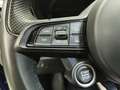 Alfa Romeo Tonale 1.6 TD 130CV SPRINT TCT (CAMBIO AUTOMATICO) Bleu - thumbnail 16