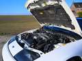 Nissan 300 ZX Twin Turbo SWB 2 SEATS Weiß - thumbnail 25