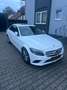 Mercedes-Benz C 220 d*Avantgarde*Navi*LED*SH*Keyless*SchiebeD* Weiß - thumbnail 1