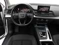 Audi Q5 2.0 TDI Quattro S-Tronic✔️TETTO APRIBILE✔️ Bianco - thumbnail 25