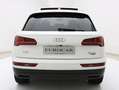 Audi Q5 2.0 TDI Quattro S-Tronic✔️TETTO APRIBILE✔️ Bianco - thumbnail 46