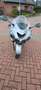 Kawasaki ZZR 1400 Bianco - thumbnail 3