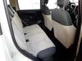 Fiat Panda 1.2 Young 69cv adatta a neopatentati Beige - thumbnail 12