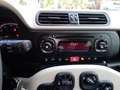 Fiat Panda 1.2 Young 69cv adatta a neopatentati Beige - thumbnail 6
