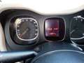 Fiat Panda 1.2 Young 69cv adatta a neopatentati Beige - thumbnail 5