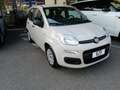 Fiat Panda 1.2 Young 69cv adatta a neopatentati Beige - thumbnail 2
