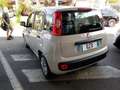 Fiat Panda 1.2 Young 69cv adatta a neopatentati Beige - thumbnail 4