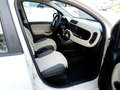 Fiat Panda 1.2 Young 69cv adatta a neopatentati Beige - thumbnail 11