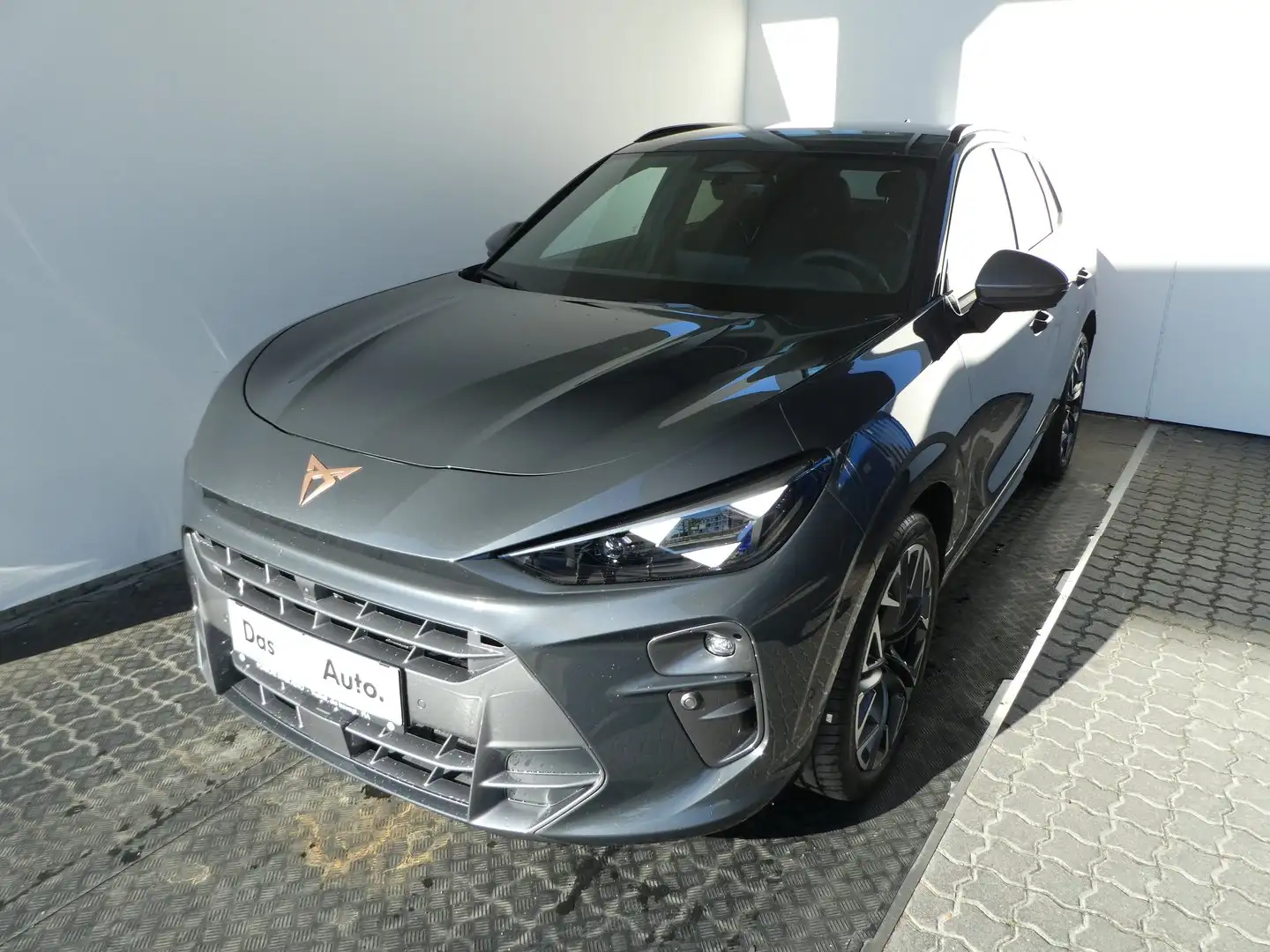 CUPRA Terramar 2.0 TSI 204 PS DSG 4Drive Grau - 1