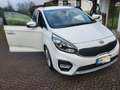 Kia Carens carens 1.7 CRDI 141 CV DCT Bianco - thumbnail 10