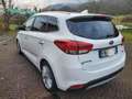 Kia Carens carens 1.7 CRDI 141 CV DCT Bianco - thumbnail 15