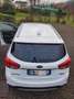 Kia Carens carens 1.7 CRDI 141 CV DCT Wit - thumbnail 16