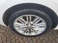 Kia Carens carens 1.7 CRDI 141 CV DCT Bianco - thumbnail 7