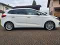 Kia Carens carens 1.7 CRDI 141 CV DCT Bianco - thumbnail 1