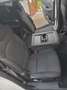 Kia Carens carens 1.7 CRDI 141 CV DCT Bianco - thumbnail 4