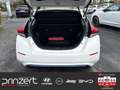 Nissan Leaf 40kWh "Tekna" LED*ProPilot*Navi*LM17" Weiß - thumbnail 14