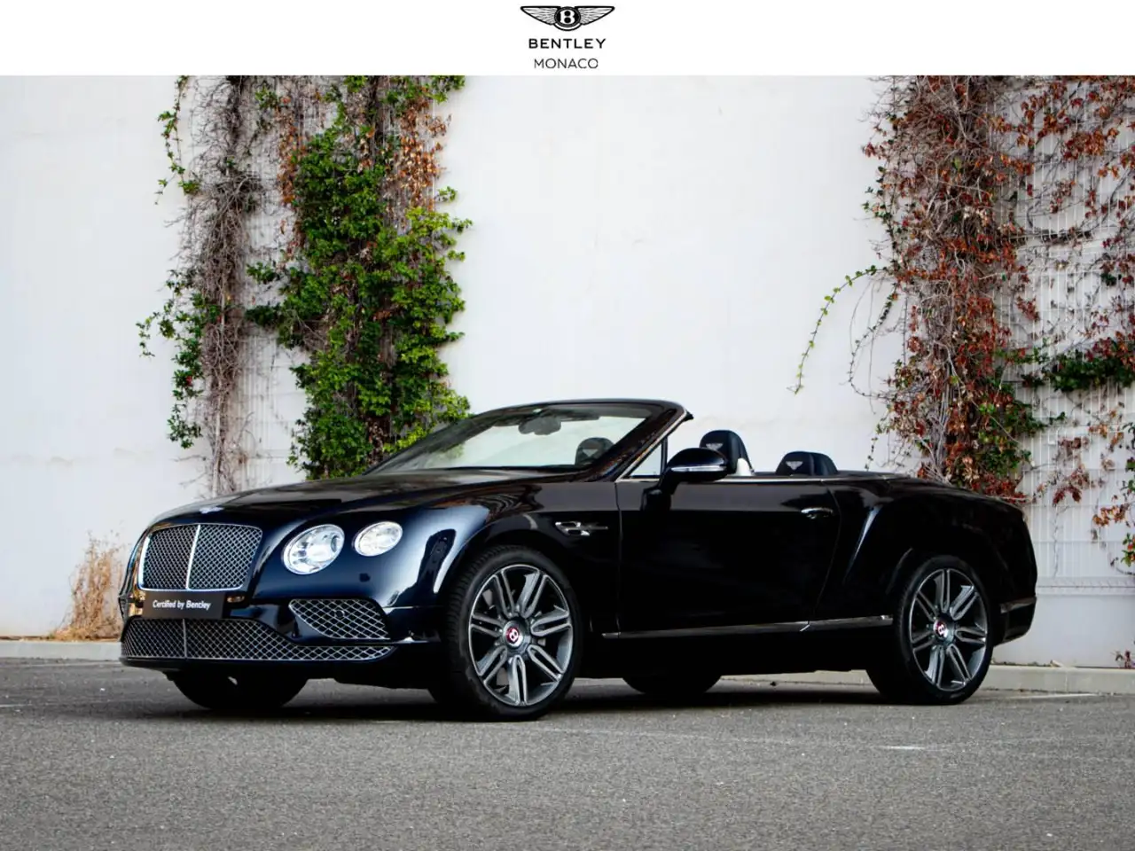 Bentley Continental GTC