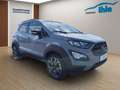 Ford EcoSport Active Grau - thumbnail 2