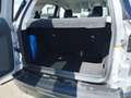 Ford EcoSport Active Grau - thumbnail 7